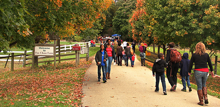 Applefest