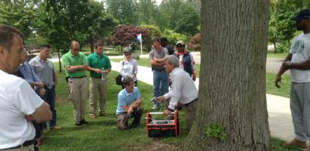 Emerald Ash Borer Training Seminar