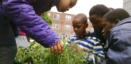 Sustainability