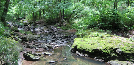 TaconyCreekPark