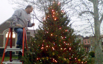 Cambell Square tree lighting