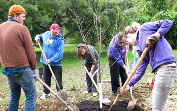 Food Forest