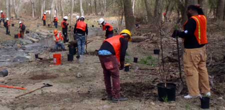 Indian Creek Planting Project