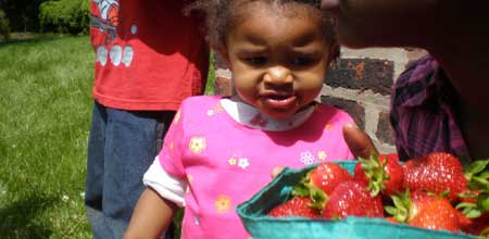 Strawberry Festival