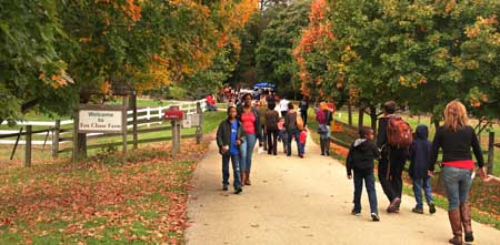 Fall Outdoors