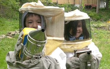 Beekeeping