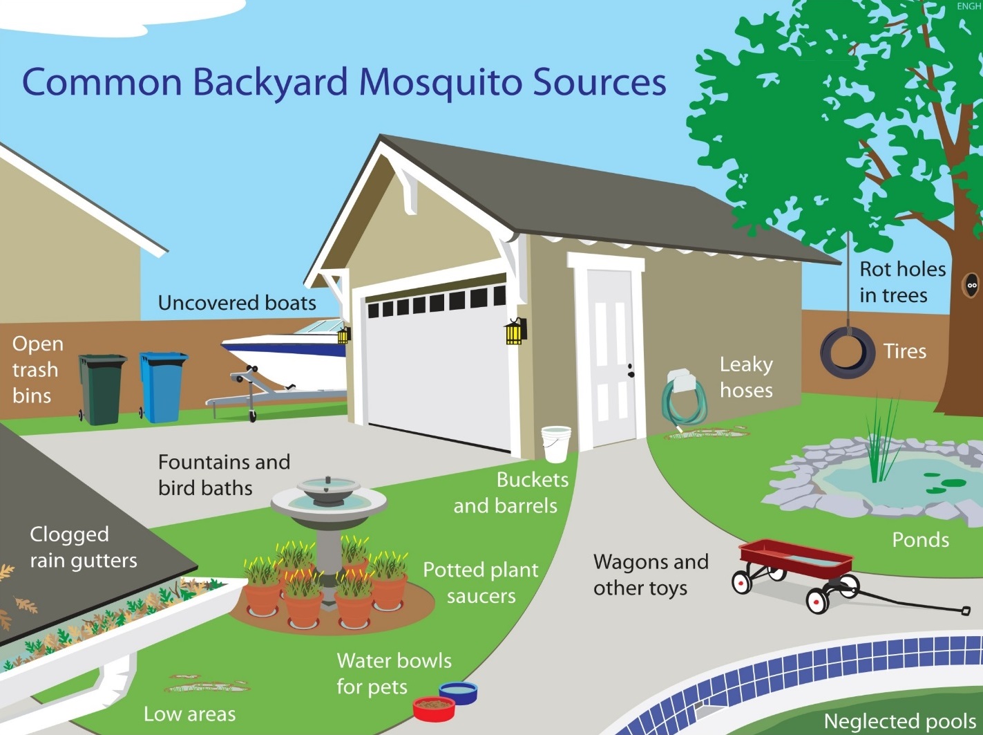 Fountains and birdbaths, uncovered boats, wagons and other toys, tires, ponds, open trash bins, and clogged rain gutters where water sits still.