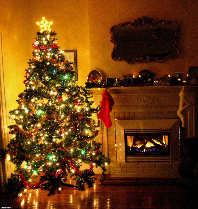Keep The Holiday Memorable. Know The Facts About Home Fire Risks