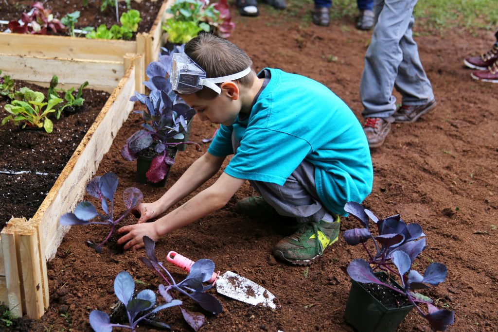 Volunteers plant flowers and vegetables in the Cohen Free Library Branch’s Veggie Garden on Earth Day.