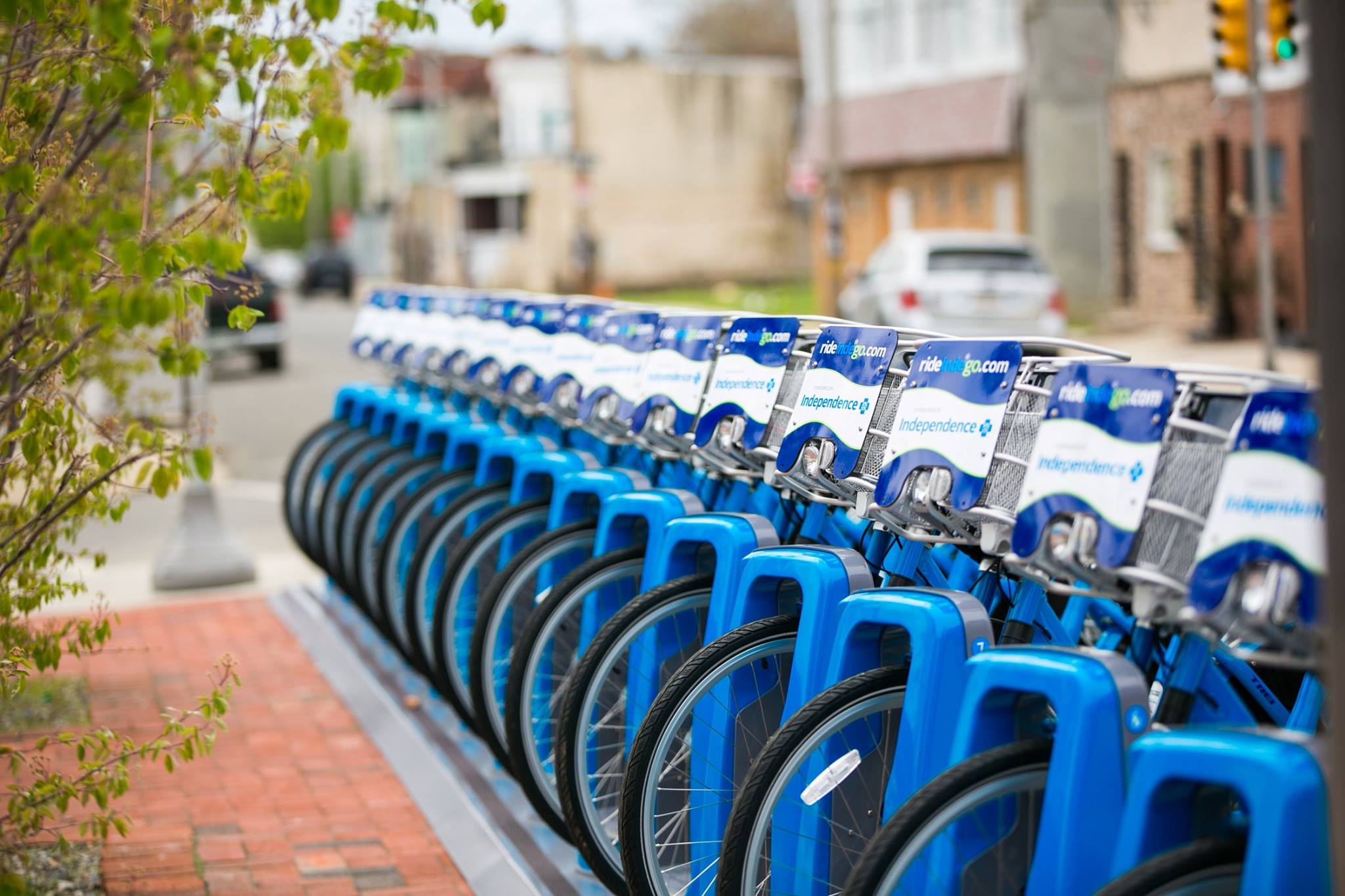 A row of Indego bikes rest in their docking station with Philly rowhomes behind them and trees in front of them.