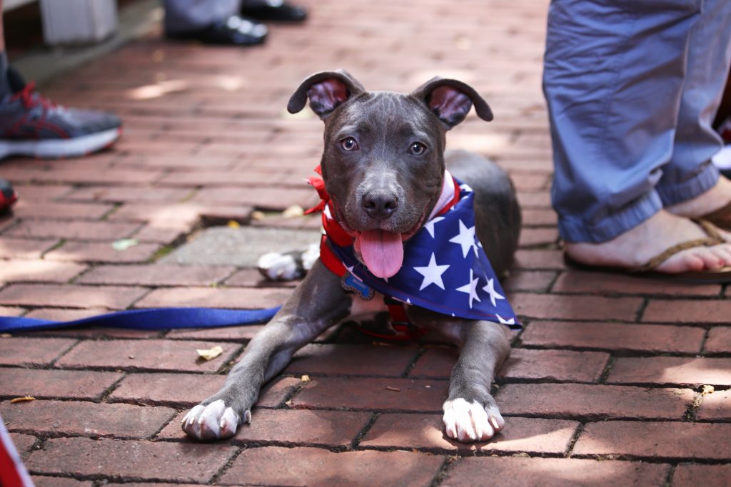 Brady enjoys the weather during a naturalization ceremony