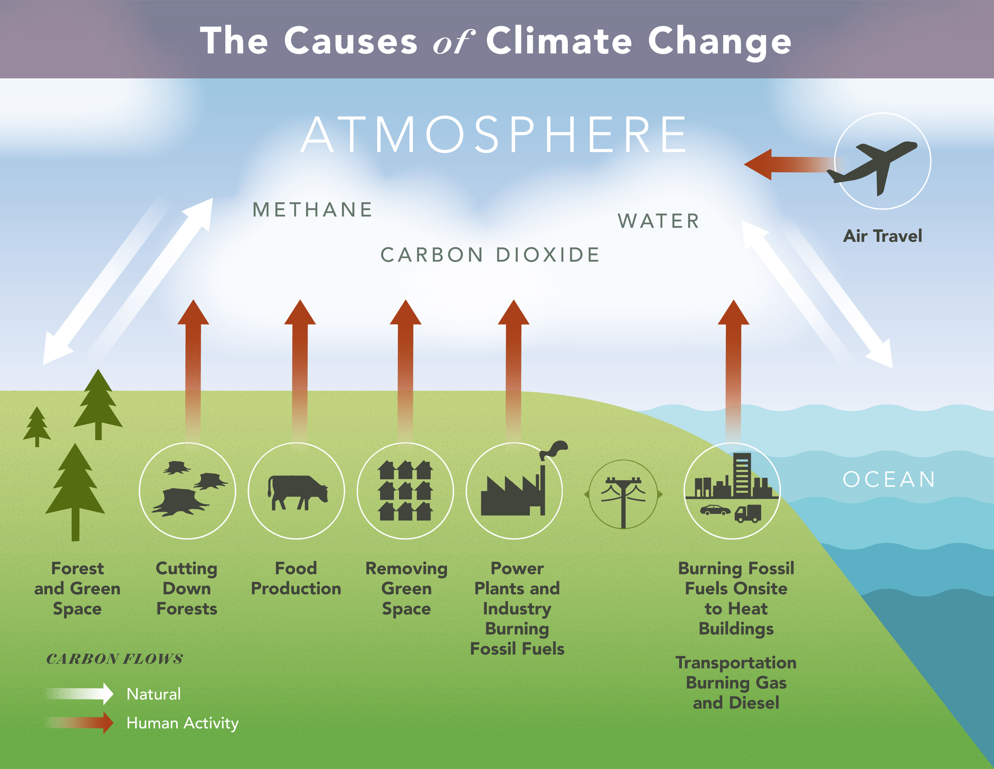 The natural carbon cycle and human activity