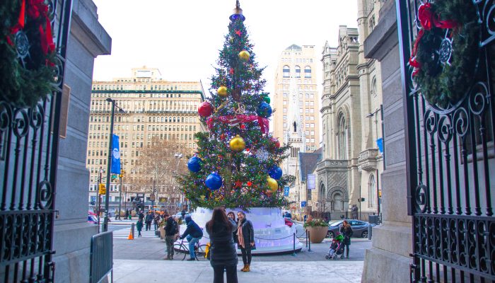 city hall holiday tree
