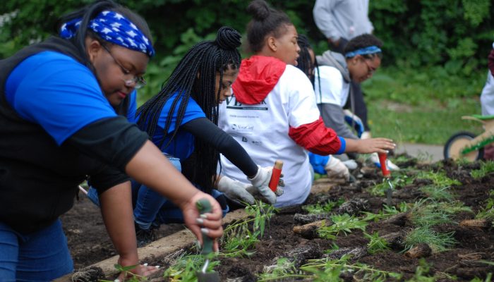 Volunteers planting a garden