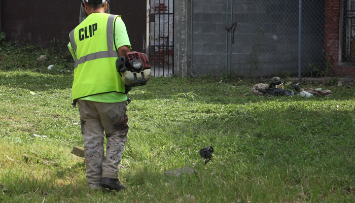 A CLIP worker operates a weed whacker in a yard.