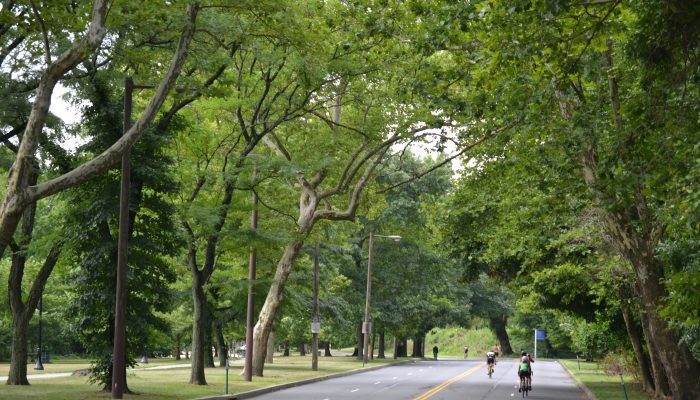 Riders and runners on an open road