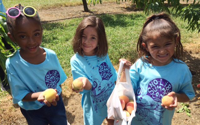 Girls from Northern Liberties summer camp holding fruit