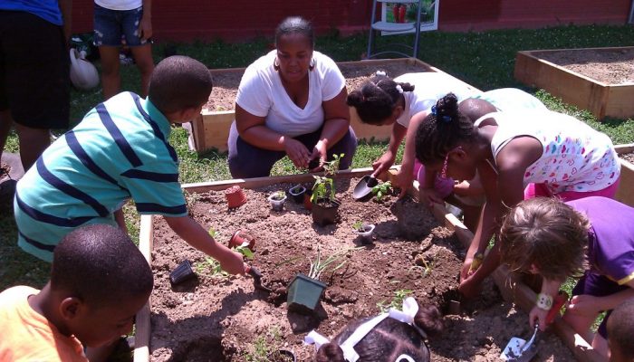 Pessoas cavando buracos para plantas em uma horta.