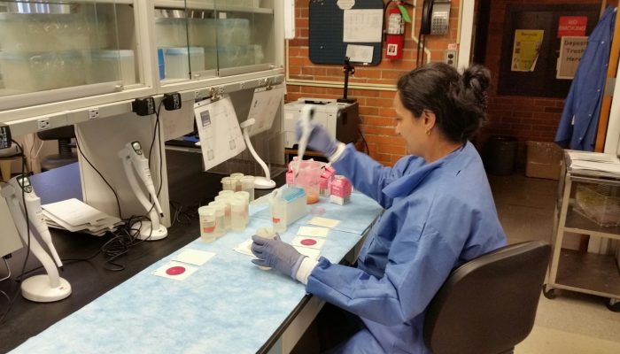 Laboratory workers conducting tests