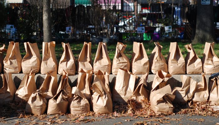 Leaves in brown bags