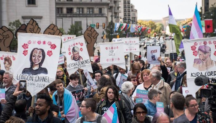 rally participants hold up signs and illustrations of trans folks