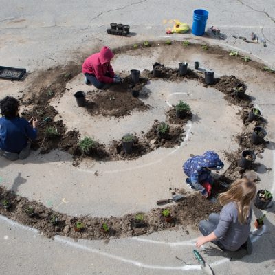 A large spiral shape was cut into asphalt to reveal the soil underneath. While adding new soil, youth and adults sit on the ground and add vegetation to the garden spiral.