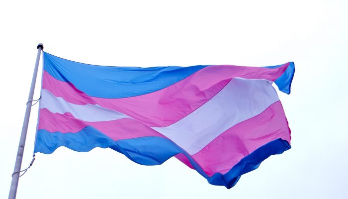 trans pride flag waving in the wind on a sunny day