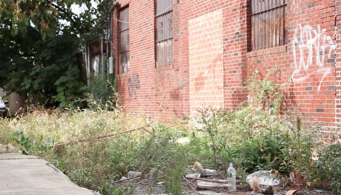 vacant lot that is overgrown and has some plastic trash