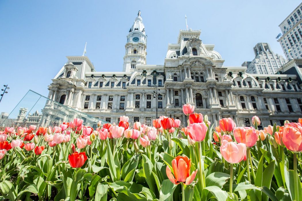 Philadelphia City Hall with pink tulips in the foreground.