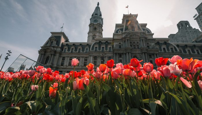 city hall with tulips