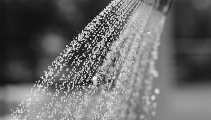 A close up of a water droplets emerging from a shower head.