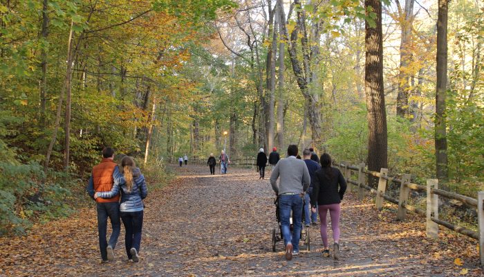 Hikers on a trail in fall.