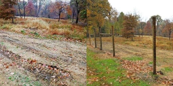 Before and after of Michaux Grove
