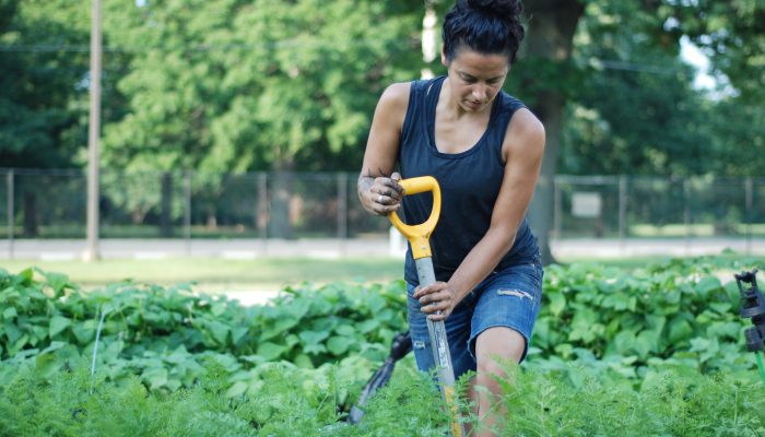 Urban farming.