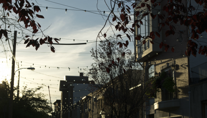 Modern rowhouses in a tree-lined street of South Philadelphia