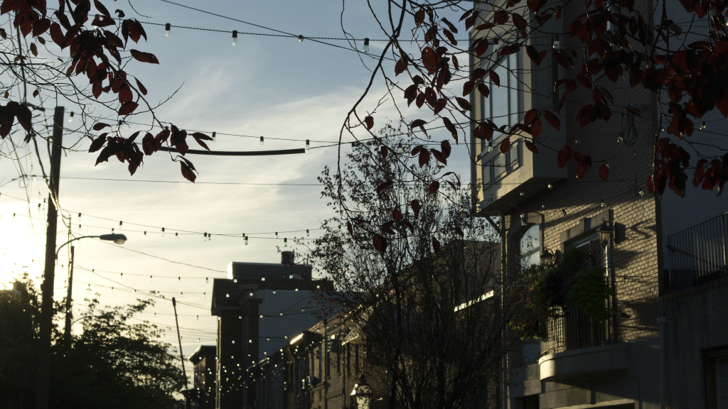 Modern rowhouses in a tree-lined street of South Philadelphia