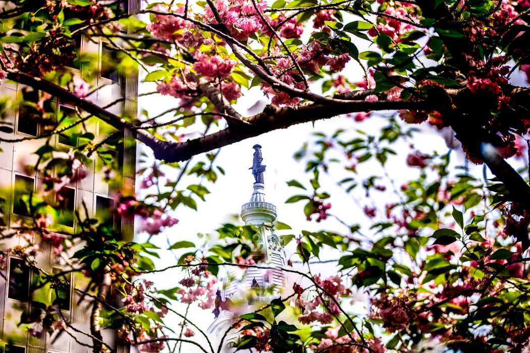 William Penn statue on top of City Hall, surrounded by a flowering tree.