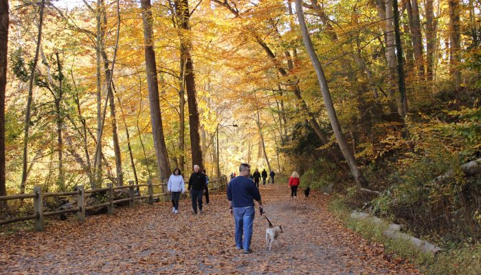 Wissahickon Valley Park of Philadelphia