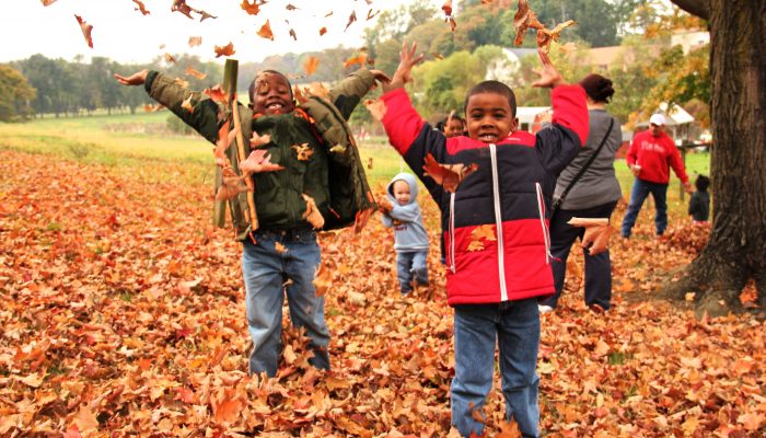 Young children stand outside on a fall day. They are in the middle of a pile of leaves throwing leaves in the air.
