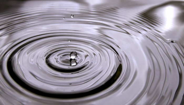 Circular ripples spread across the surface of water