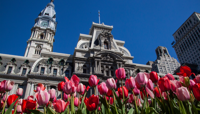 City hall in the sunny spring time.