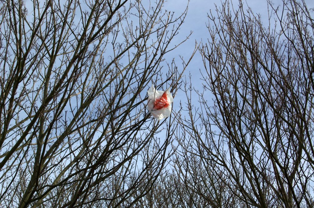 Plastic bag caught in a tree Credit: Flickr/timparkinson