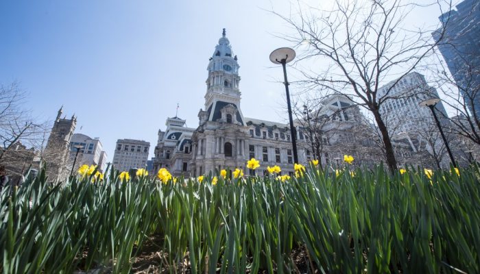 city hall in the spring with daffodils in the foreground