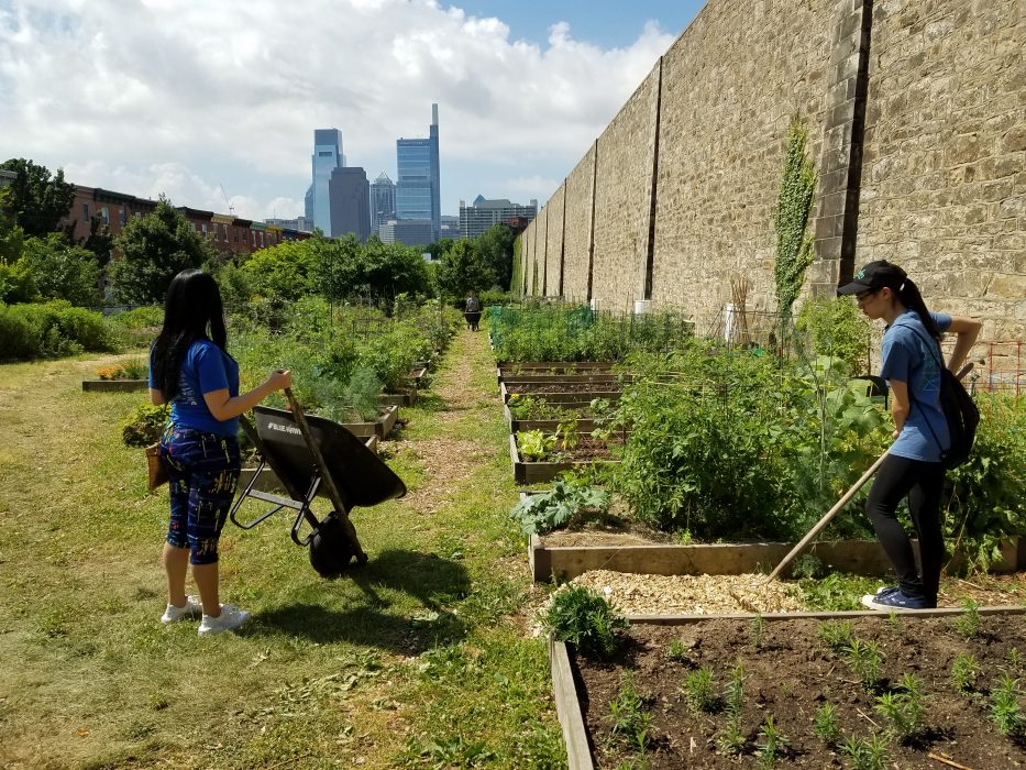Youth Volunteers working in Philadelphia