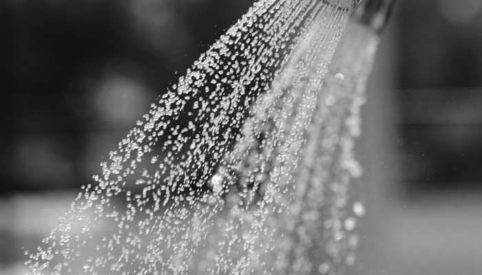 water sprinkling out of a sprinkler