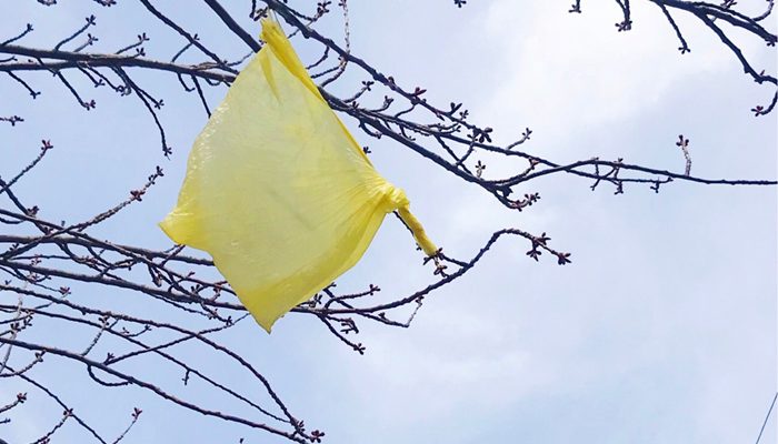 Una bolsa de plástico atascada en la rama de un árbol
