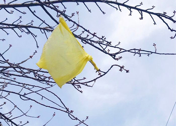 El sinsentido de usar bolsas de plástico para echar la basura: así puedes  evitarlo