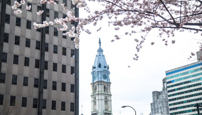 City hall tower framed under a blossoming tree in Spring.