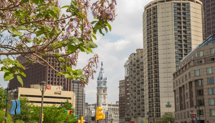 philadelphia city hall from the ben franklin parkway with cherry blossoms in the foreground