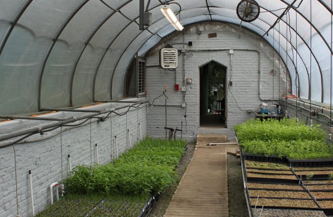 Greenland Nursery